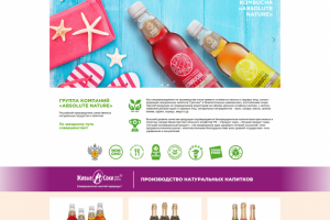 Верстка и посадка сайта absolute-nature на Wordpress