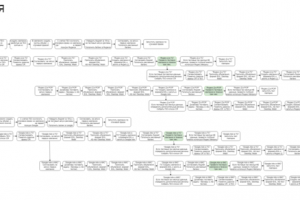 Стратегия и виды работы