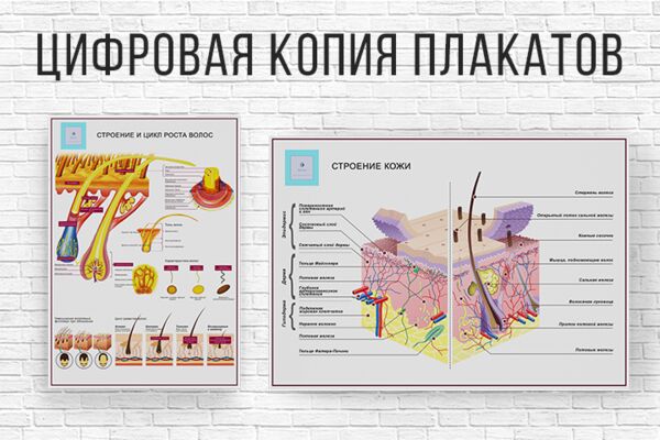 img4175338.png