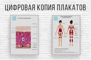 Цифровая копия плакатов
