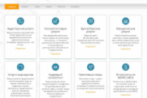 Аудиторская компания