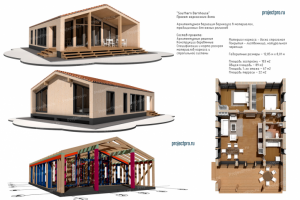 T-040. ”Southern Barnhouse”. Вариация барнхауса. АР, КД.