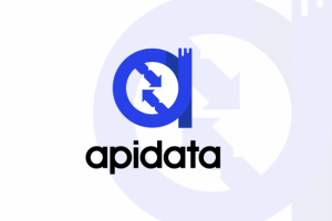 APIDATA logotype