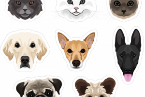 Векторная иллюстрация