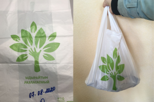 Пакет-майка  Разлагаемый