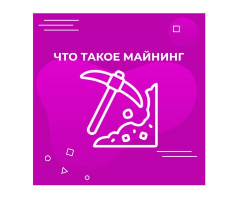 img4307409.png