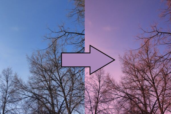 img3946351.png