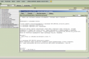 Технология бизнес-скриптов, компания ESCC (Голландия)