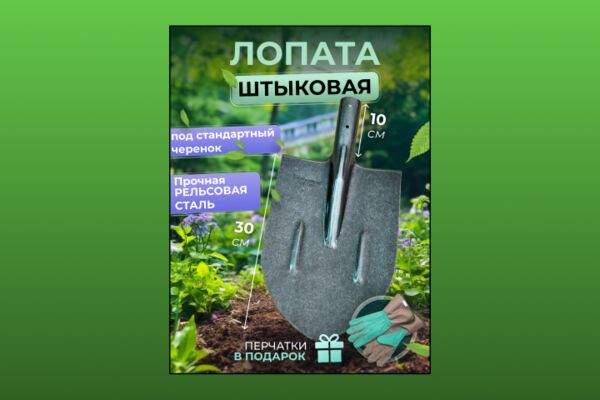 img4640125.png