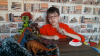 Видеоблог