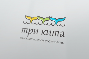 Агенство недвижимости "Три кита"