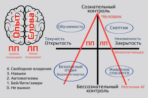 Инфографика треннинга