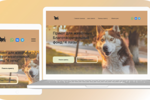 Дизайн сайта приюта для животных