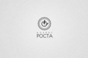 Работа 2705878