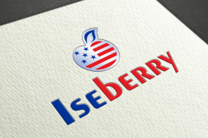 Логотип Iceberry