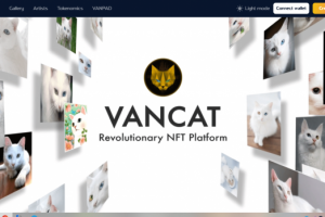 Верстка сайта VANCAT