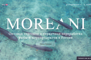 Адаптивный сайт компании Moreani