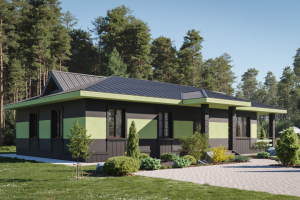 Частный дом в лесу