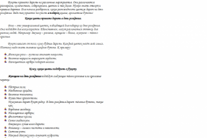 Цветы на день рождения.