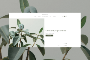 Интернет-магазин комнатных растений