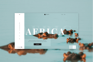 Первый экран. Африка