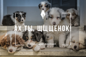 Продающий сео-текст для питомника среднеазиатских овчарок