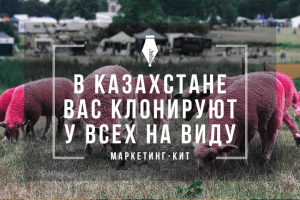 Маркетинг-кит. Упаковка франшизы под ключ в Казахстане