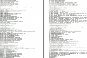 Фрагмент латинской локализации скайпа (2017)