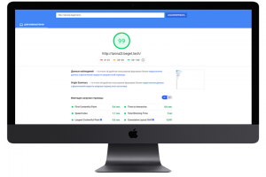 Оптимизация сайта larina2l page speed
