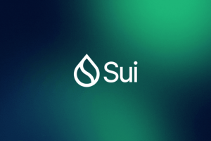 Нода для торговли Sui