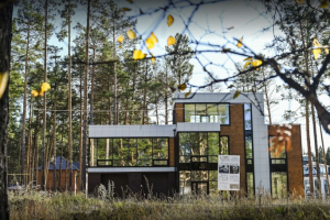 Современные дома в коттеджном поселке "Новая Европа"