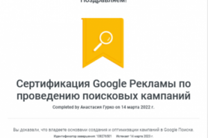 Сертификат Google поисковые кампании