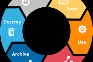 Жизненный цикл услуги