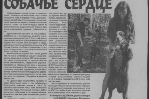 Съезд и соревнования МЧС.Мои фото висят в музее МЧС.