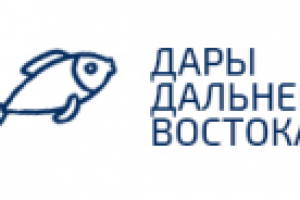 Дизайн Интернет-магазина