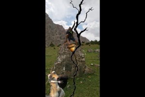 Рилс моушн дизайн