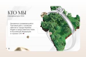 Презентация для «Vega»