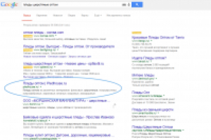 Работа 2348927