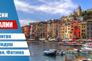 Работа 3810562