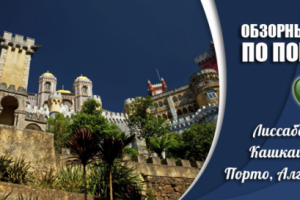 Работа 3810558