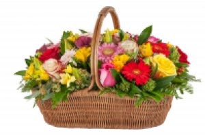 Работа 2130500