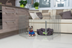 Работа 2368018