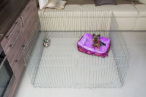 Работа 2368026