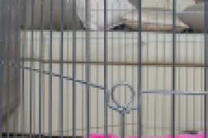 Работа 2368030