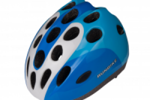 Работа 2172023