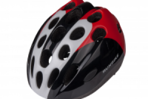 Работа 2172021