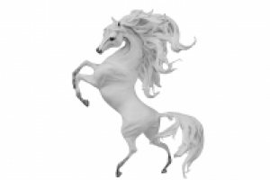 Работа 2133995