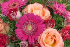 Работа 2128304