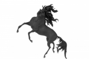 Работа 2133996