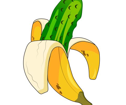 img4370044.png